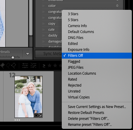 Lightroom Library Filter