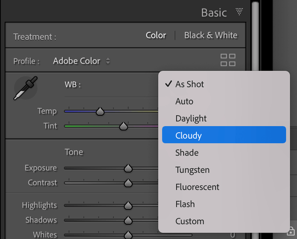 White Balance Selector Lightroom