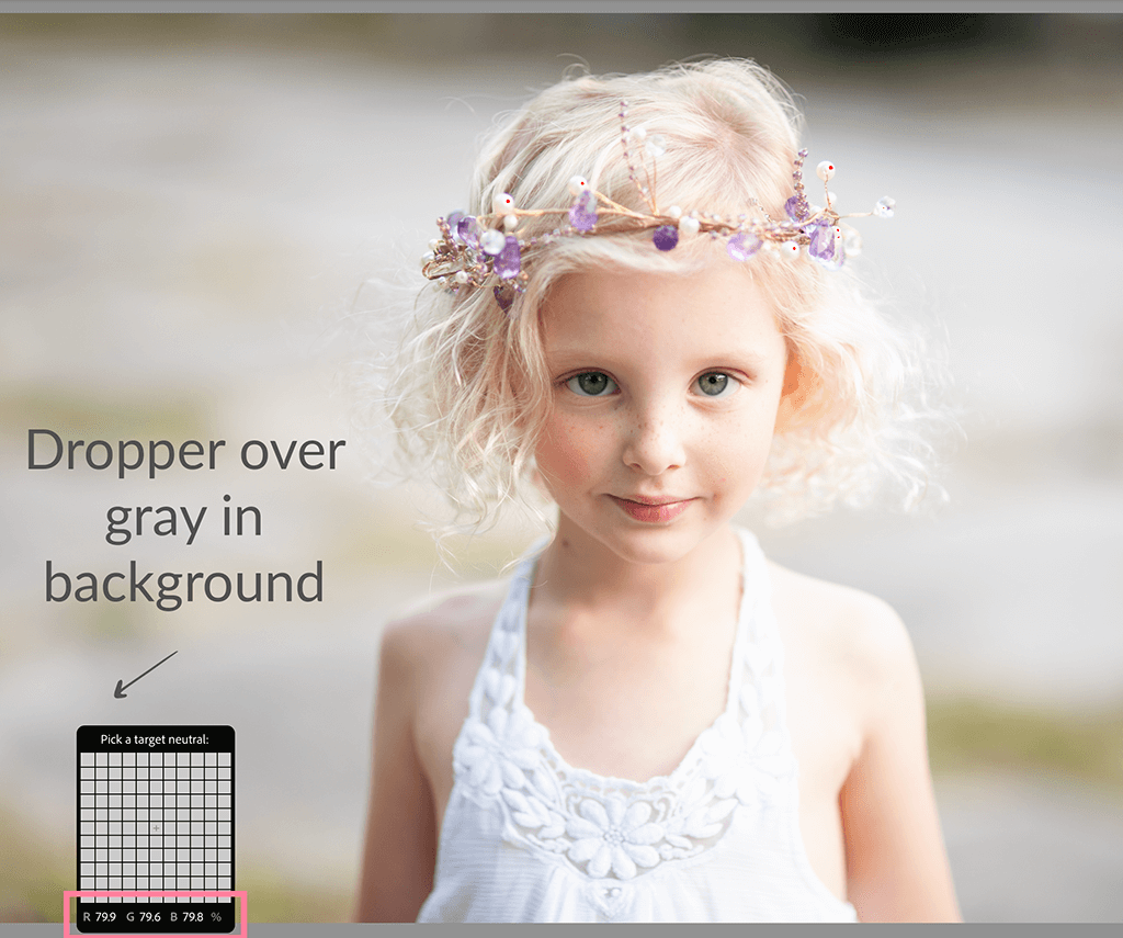 Lightroom White Balance As Shot