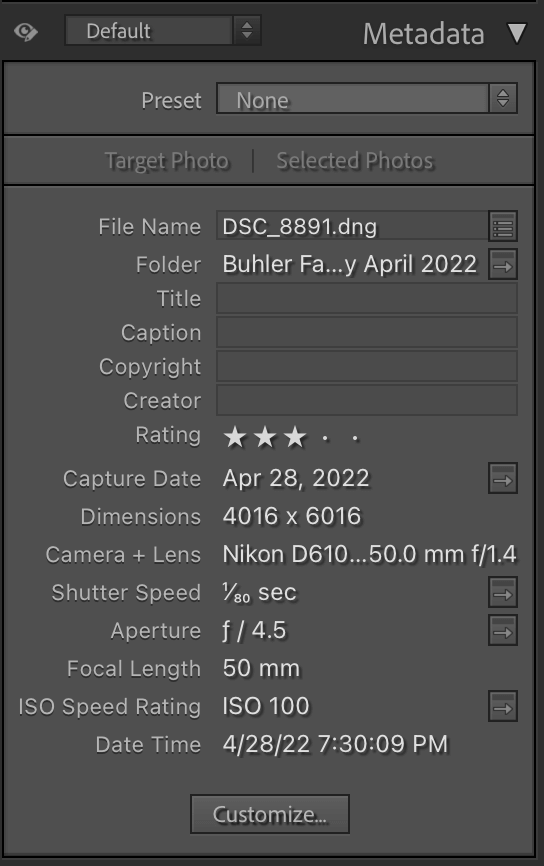 Lightroom Metadata Panel