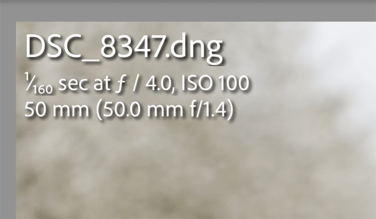Lightroom Metadata