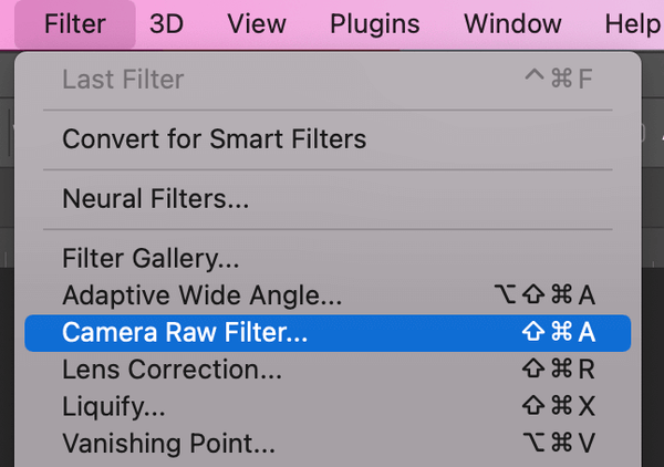 How to Change the Opacity of a Preset in Lightroom