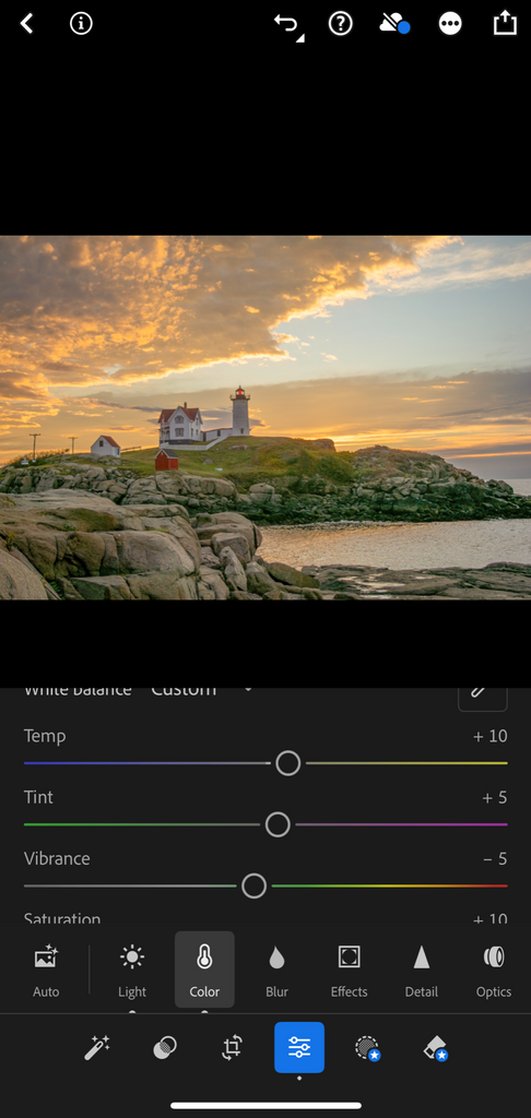 Warm vintage tones added using temperature and tint sliders in Lightroom Mobile free version