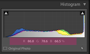 Best Filters for Black Skin