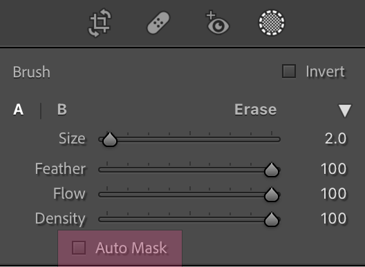 Using the Auto Mask Feature in Lightroom's Brush tool