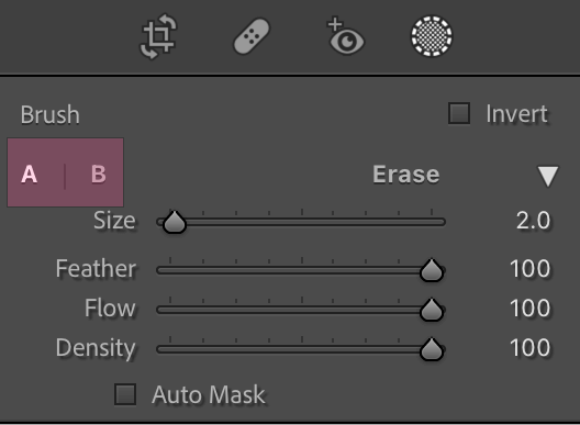 Lightroom A and B Brushes in Lightroom Brush Tool Panel