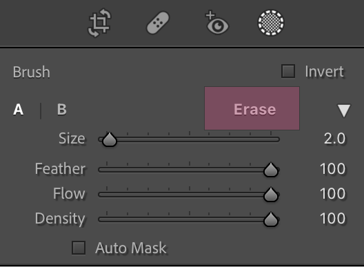 Lightroom Erase Tool
