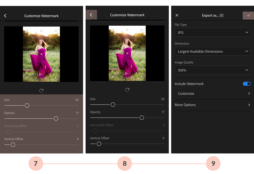 Add Logo in Lightroom Mobile