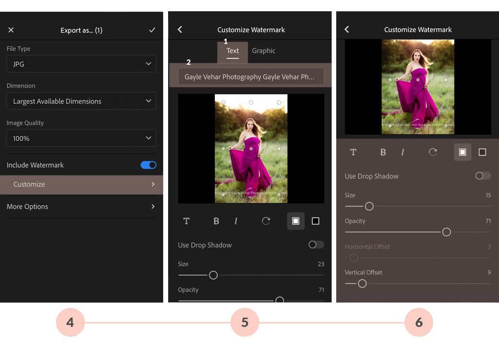 Add Text Lightroom Mobile