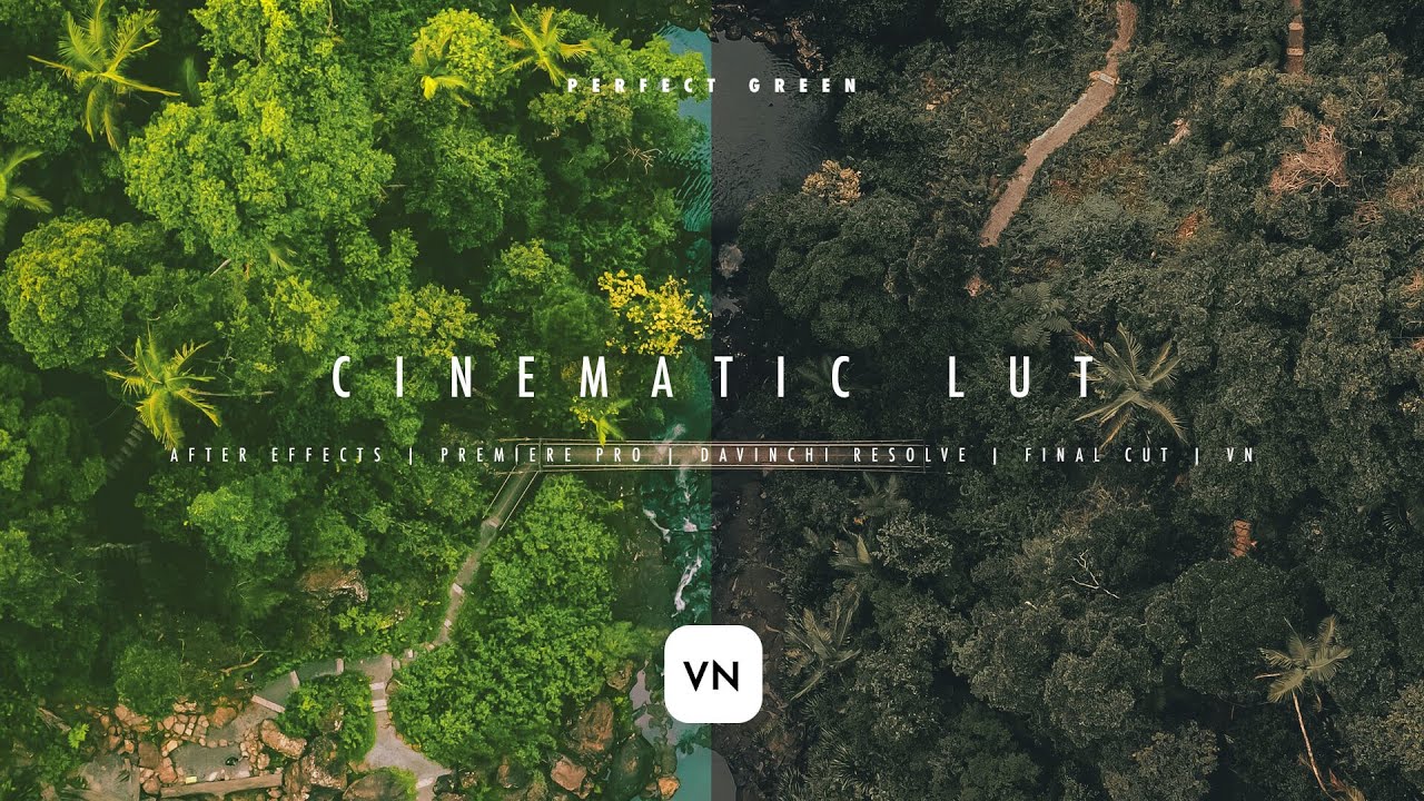 CINEMATIC LUT/FILTER FOR VN EDITOR | LUT for AE, PP, VN Video Editor | Download Free