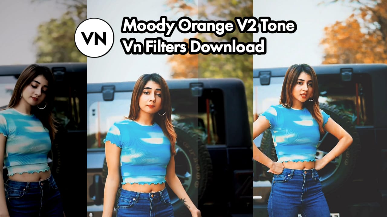 vn video editing lut free download moody orange v2 vn filters 2024