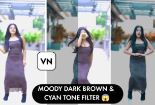 vn moody effects dark free luts and filters download 2024