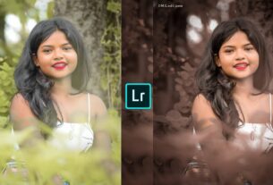 Brown tone Lightroom photo editing in mobile preset download free
