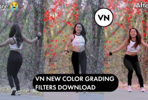 vn video editor app color grading 2024 free filters download