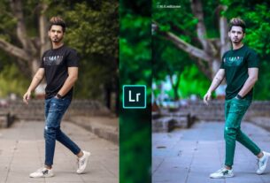 Lightroom mobile green and grey tone photo editing 2024 preset download free